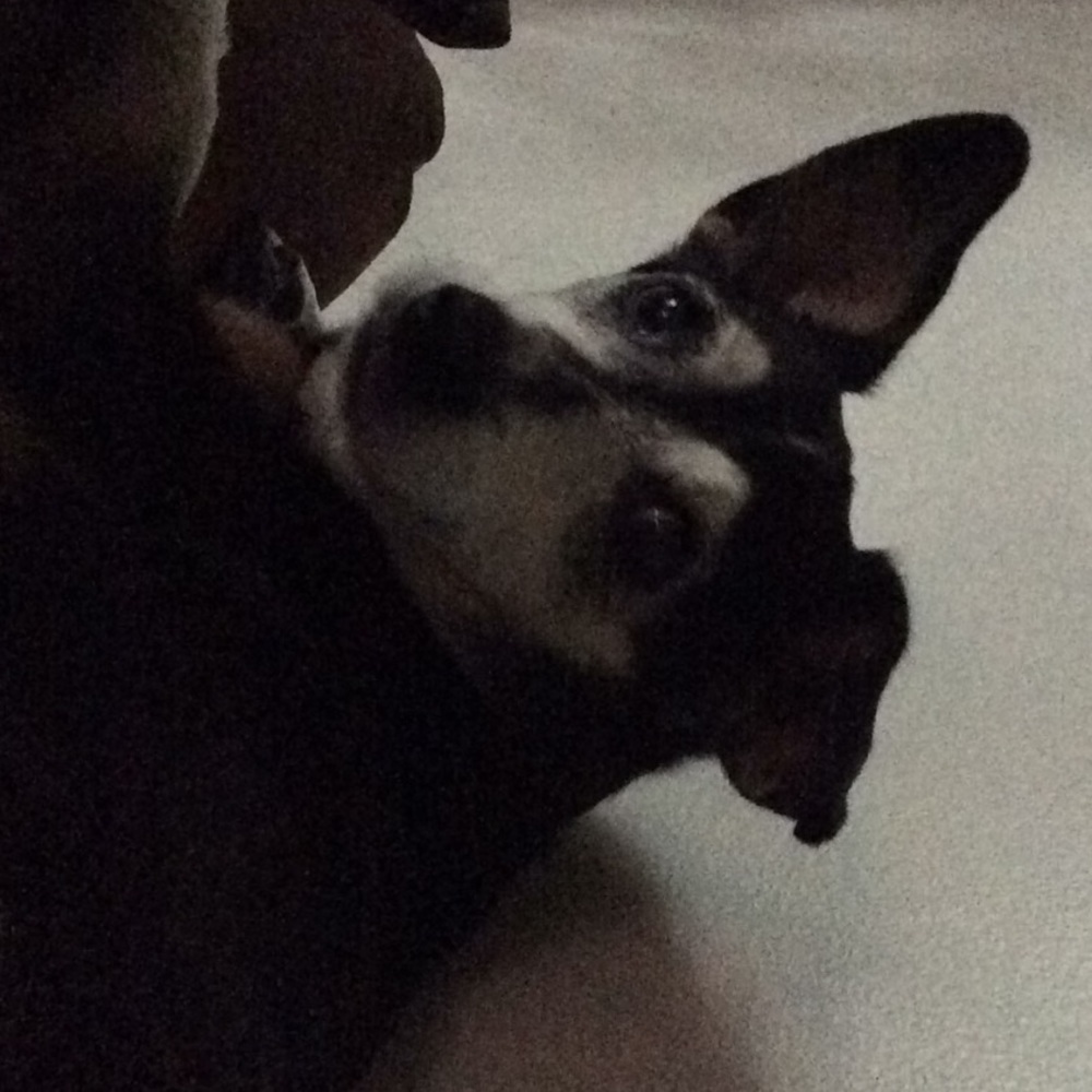 Meet your Posher, Arlana